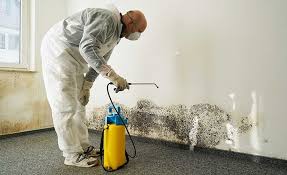 Best Forensic Mold Investigation in USA